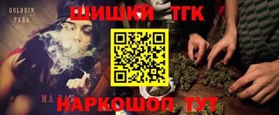 индика Пугачёв